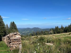 Balade de 3 Lacs et un panorama sur l'Alsace et les Vosges - Gwendoline - 8