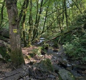 Cascade de Murel et cascade de la Vierge - Nathalie - 5