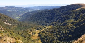 Découvrir le Hoeneck et son massif des Vosges - Gilles - 3