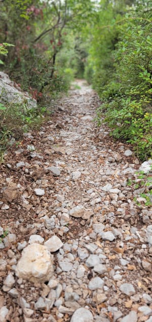 Sauve : excursion hors du temps au pied de la Mer des Rochers - MARC - 6