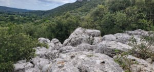 Sauve : excursion hors du temps au pied de la Mer des Rochers - MARC - 7
