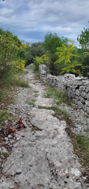 Sauve : excursion hors du temps au pied de la Mer des Rochers - MARC - 8