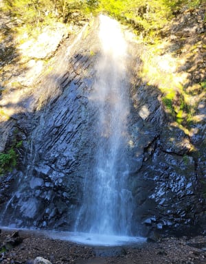 Randonnée aux cascades du Queureuilh, du Rossignolet et du Saut du Loup - Sophie - 10