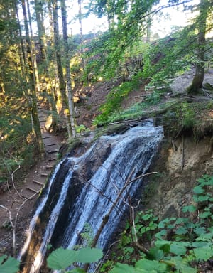 Randonnée aux cascades du Queureuilh, du Rossignolet et du Saut du Loup - Sophie - 8