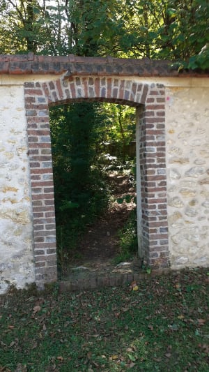 Balade dans la forêt de La Rochette - Patricia - 2