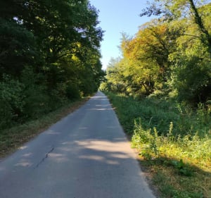 Sortie entre Hazebrouck et la Motte au Bois - Nicolas - 2
