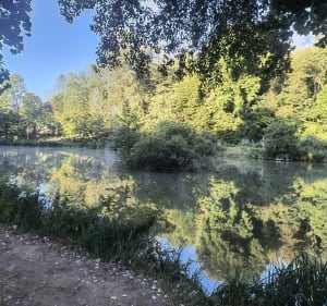 Au dessus de l'étang de Merrey - Rémi - 3