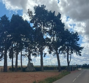 Balade autour de Bapaume et ses alentours - LEGRAIN - 5