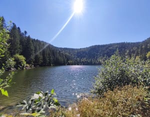 Lac des corbeaux et son belvédère - La Bresse - 7