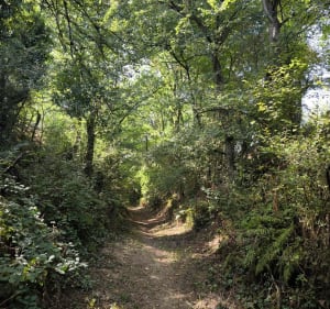 Le sentier de randonnée de Grand Vau - Matthias - 2