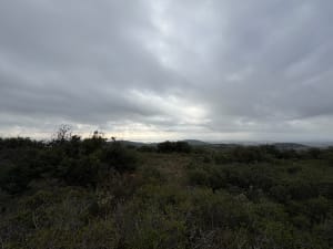 Petite Balade dans la gardiole avec beau panorama - Olivier - 3