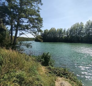 La petite balade du Marysien en bord de Marne - Yohan  - 4
