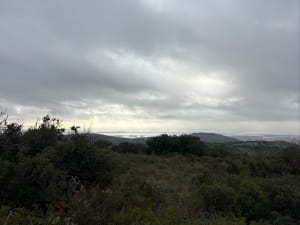 Petite Balade dans la gardiole avec beau panorama - Olivier - 4