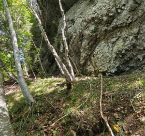 Le belvédère du Fuchsfelsen - Vivien - 5