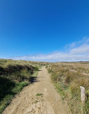 Plage et dunes de l'Aber - Gisele - 4