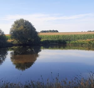Plaines et Mares autour de Grossoeuvre - CHRISTOPHE - 5