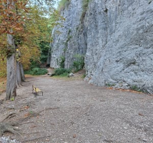 Des flancs du Neron au parc Fiancey - florence - 3