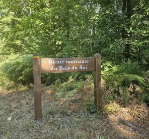 Foret Montmorency Château de la chasse et pont du diable - Celine - 2