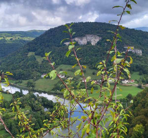Chatard vallée Baume les Dames - Laurence - 4