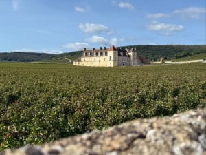 La côte dorée du Clos Vougeot à Morey-Saint-Denis - Lionel - 22
