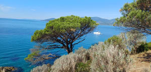 Randonnée au Cap Lardier par la Baie de Cavalaire - Nadege - 6