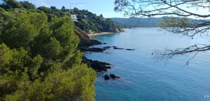 Randonnée au Cap Lardier par la Baie de Cavalaire - Nadege - 9