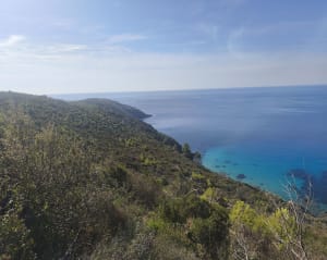 Réserve du Cap Lardier et splendeurs méditerranéennes - Laurent - 2
