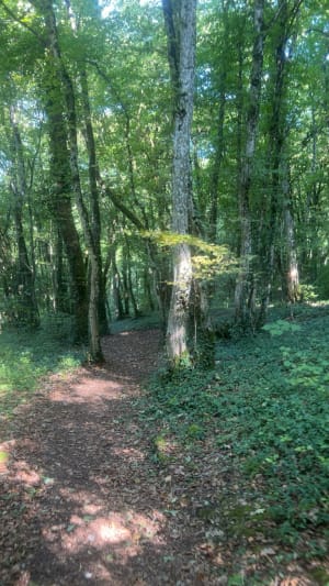 Balade autour de la vallée de Montvaux - anais - 6