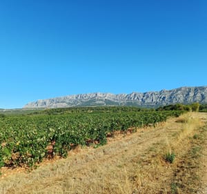 Balade de Trets à Puyloubier - Rémi - 3