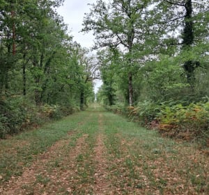 Autour d'Agris par la Grande Combe - Cecile - 5