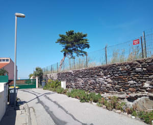 Sentier de La Mauresque,  Port-Vendres - Alain - 7