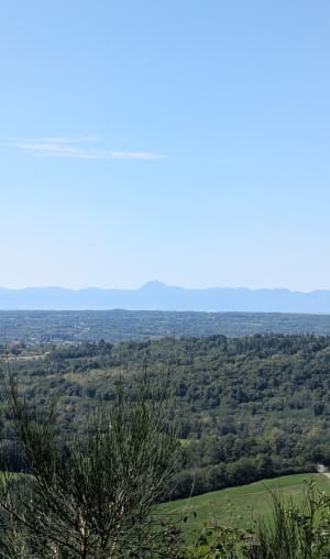 Entre fraîcheur des forêts et lumière des plaines à Thiers - Marcel - 2