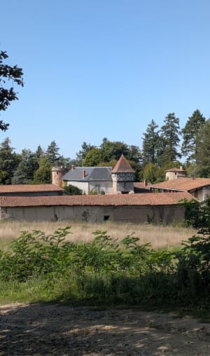 Entre fraîcheur des forêts et lumière des plaines à Thiers - Marcel - 3