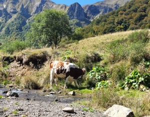 Evasion dans la vallée de Chaudefour, de l’eau à la roche - Sophie - 16