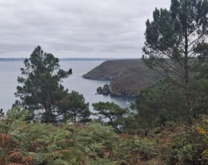 Petit tour du cap de la chèvre - Crozon - 10