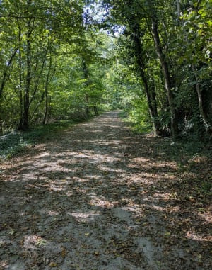 Voie verte Vimoutiers - Claire - 5