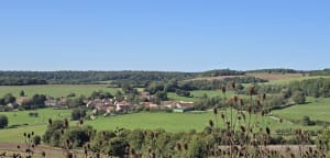 Ontdek Musseau, zijn bossen, velden en kalksteenplaveien - Adeline - 2