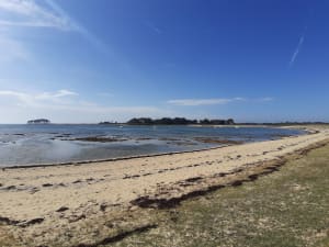 Parcours à Locmariaquer en bord de mer et rochers - Sylvia - 11