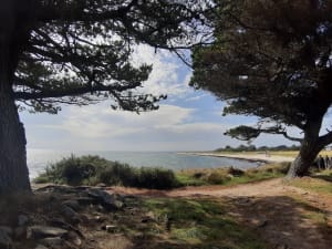 Parcours à Locmariaquer en bord de mer et rochers - Sylvia - 12