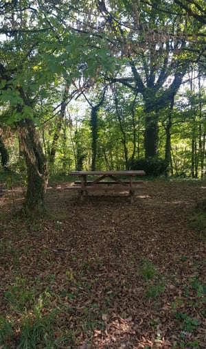 Rando sur les hauts de Poisat - Julie - 7