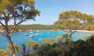 Entre terre et mer, du côté de Bregancon - Bormes-les-Mimosas - 6