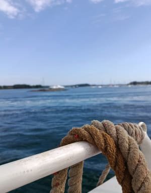 L'île aux Moines - FANNY - 8