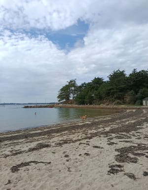 L'île aux Moines - FANNY - 9