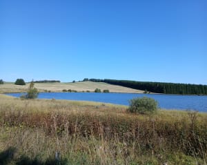 Balade autour du Lac de Bourdouze - Besse-et-Saint-Anastaise - 8