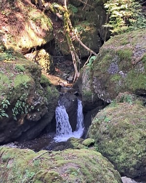 Balade découverte de la cascade des Salins - Salins - 7