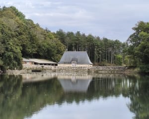 Marche au bord de l'eau prés de Pont Aven - GUY - 5
