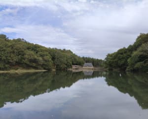 Marche au bord de l'eau prés de Pont Aven - GUY - 4