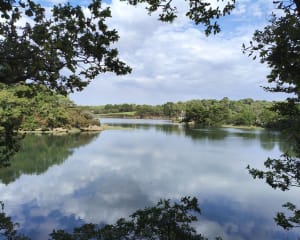 Marche au bord de l'eau prés de Pont Aven - GUY - 7