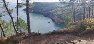 Petit tour du cap de la chèvre - Crozon - 7