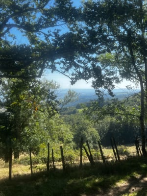 Les Cols de la Luère et de la Croix du Ban - Vincent - 7